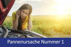 Bild: IAM-NET.EU